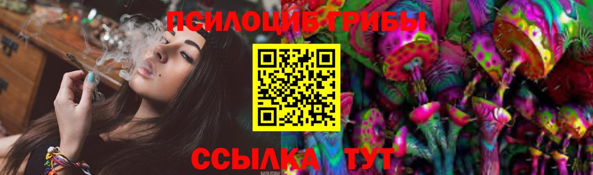 Псилоцибиновые грибы Psilocybine cubensis Туймазы